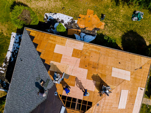 Quick and Trustworthy Emergency Roof Repair Services in Nacogdoches, TX